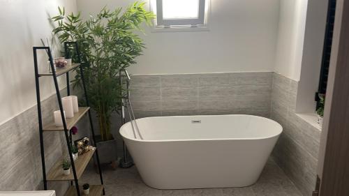 The One chalet Oman in Muladdah