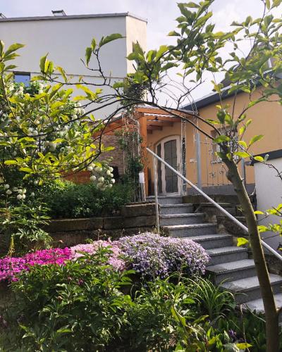 Amselgarten, Pirna (Foto 5)