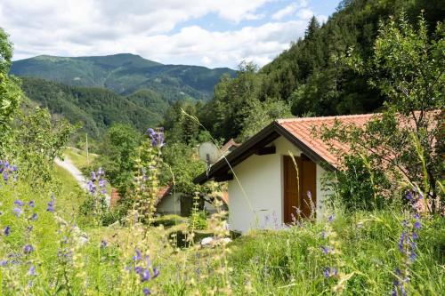 Country house At Peskar`s - Podbrdo