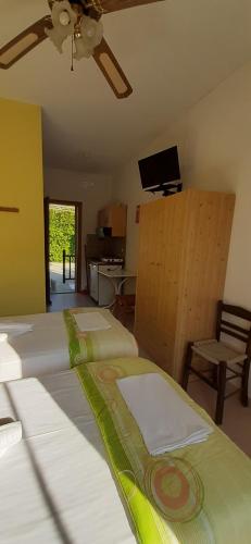 Pansion Platana Pansion Platana