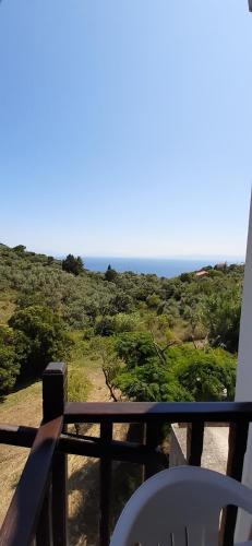 Pansion Platana Pansion Platana