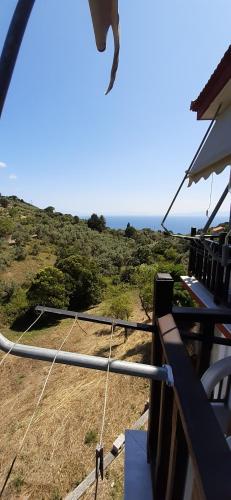 Pansion Platana Pansion Platana