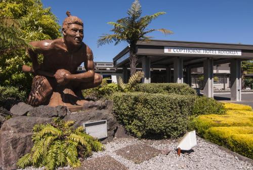 Accommodation in Rotorua
