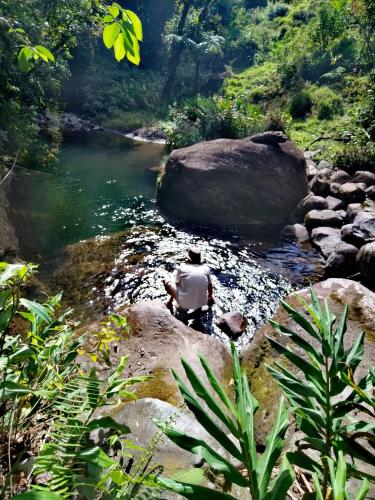 Hospedaje Bosque del Río