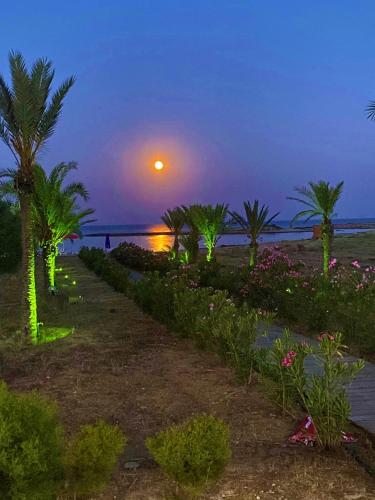 Paradise Karpaz Hotel & Restaurant