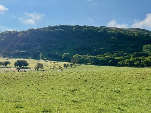 Baddegai Holiday Cottage - image 10