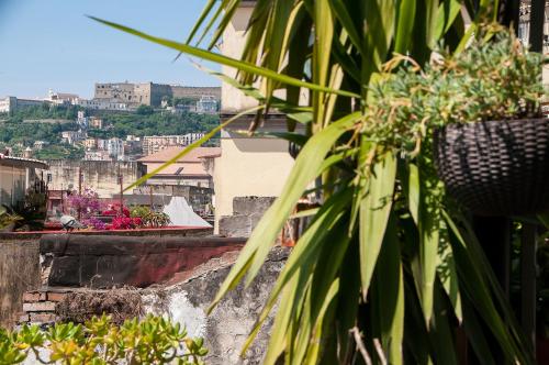 La Terrazza ai Miracoli - image 4