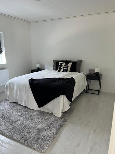 Villa Elme in Vaxjo külváros