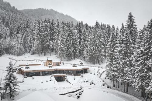 Waldchalet mit Jacuzzi