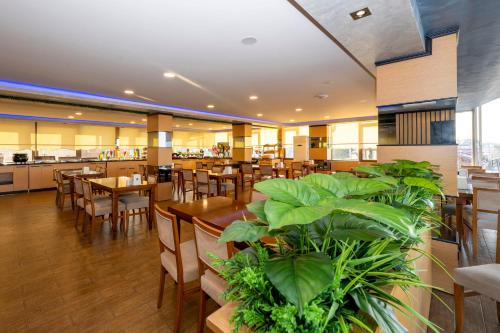 Dalan Otel Istanbul Old City, Стамбул (фото 11)