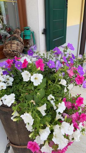 Agritur Girasole - image 7