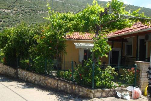 Grapes and Roses Grapes and Roses