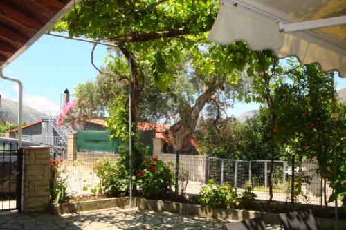 Grapes and Roses Grapes and Roses