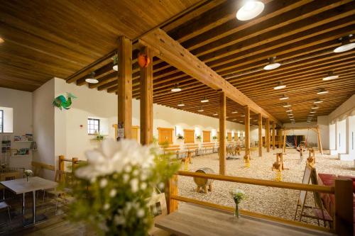 กีฬาและกิจกรรมสันทนาการ, Posedy Panský dvůr Telč (Posedy Pansky dvur Telc) in สเตปนิเซ