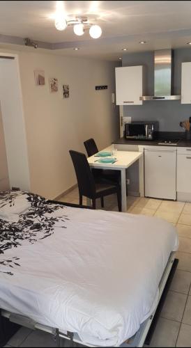 Charmant studio 2* rdc+ terrasse & parking privé