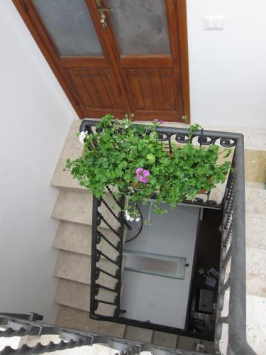 Area 12 BB, Trapani (fotografie 4)