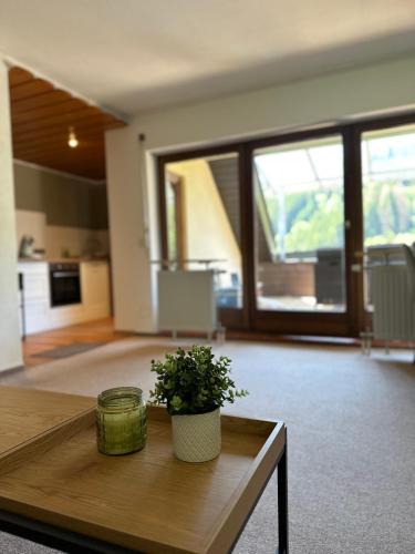 Bollenlodge - Ferienwohnung mit Ausblick und Top Lage, Todtnau (Foto 5)