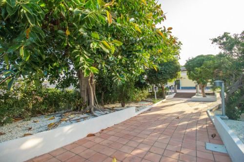 Royal Playa Suite and Apartament -private parking- self chek out 2
