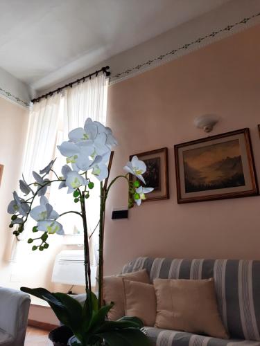  Palazzo Pico Short Lets in Tarquinia
