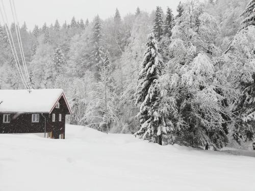 Sägemühle Eschachthal