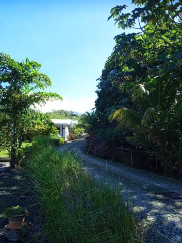 Изглед, DADI'S LITTLE PARADIS in Sainte Rose