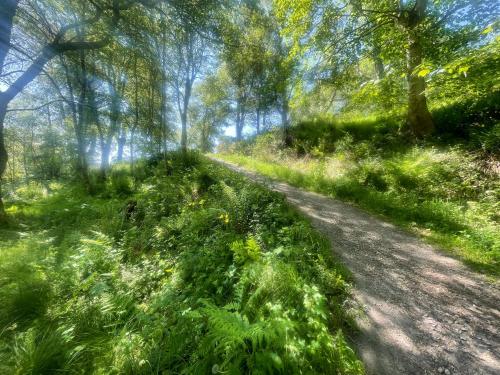 Nabij attractie, Daisy Cabin in Dess