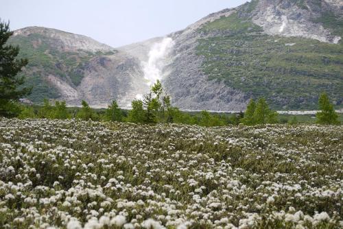 KKR Kawayu - Hotel - Teshikaga