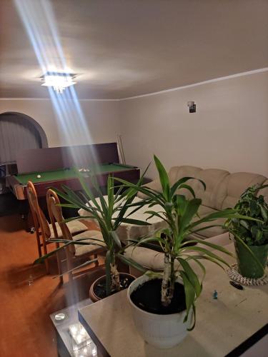 mieszkanie 2 pokoje apartament ze stołem bilardowym