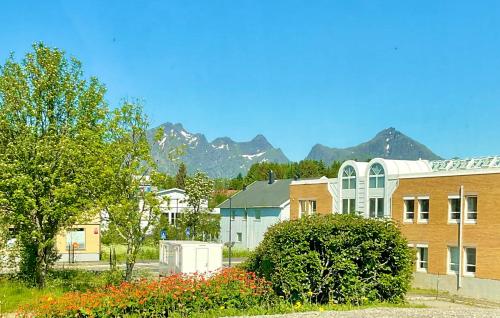 Cozy apartment Leknes Lofoten