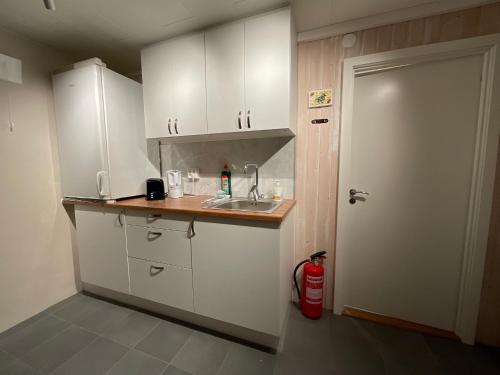 кухня, Cozy apartment Leknes Lofoten in Лекнес