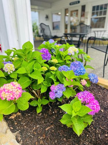 Blue Spruce Inn & Townhouses