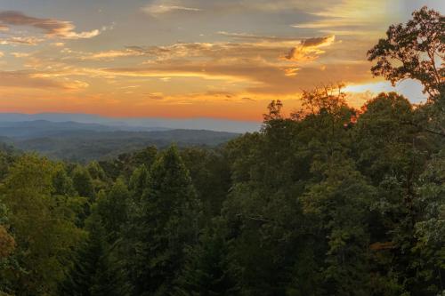 Endless Views, Mineral Bluff (foto 9)