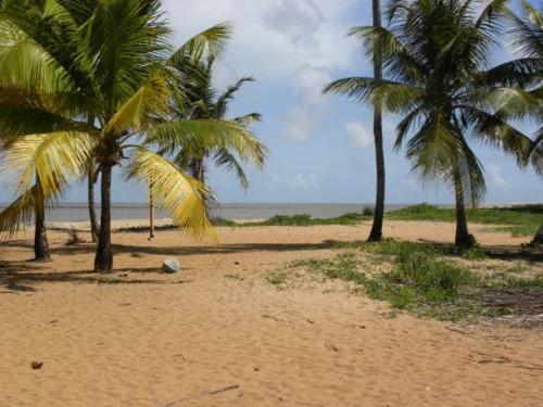 Beau T3 proche plage secteur Montabo à Cayenne - Location saisonnière - Cayenne