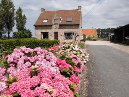 B&B Het Polderhof 4