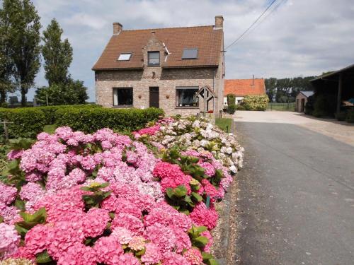  B&B Het Polderhof, Pension in Jabbeke bei Jabbeke