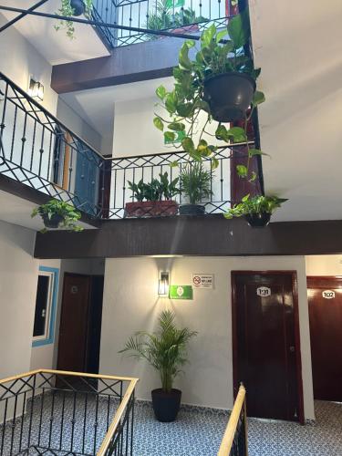 設施, Hotel Jar8 Bule in 維拉克斯