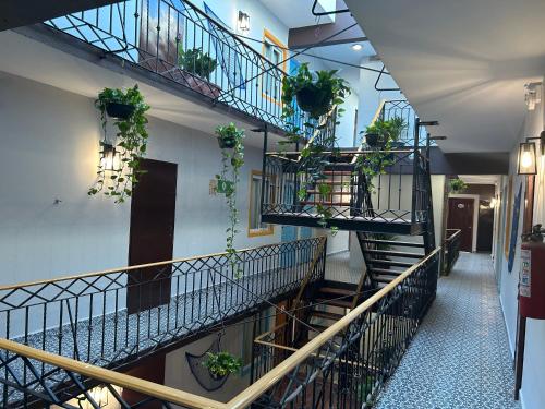 景觀, Hotel Jar8 Bule in 維拉克斯
