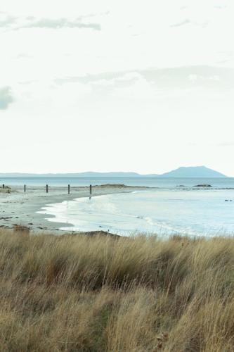 *New* Pip's Place at Lisdillon Vineyard