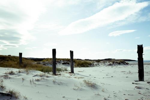 *New* Pip's Place at Lisdillon Vineyard