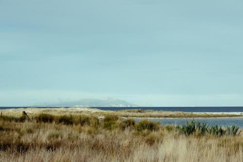 *New* Pip's Place at Lisdillon Vineyard