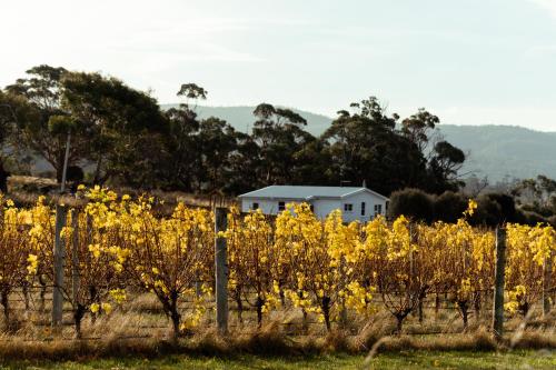 *New* Pip's Place at Lisdillon Vineyard