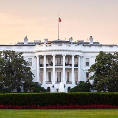 Walk2Metros,DCGem,Private,Wifi, FreeParking in Arlington, USA