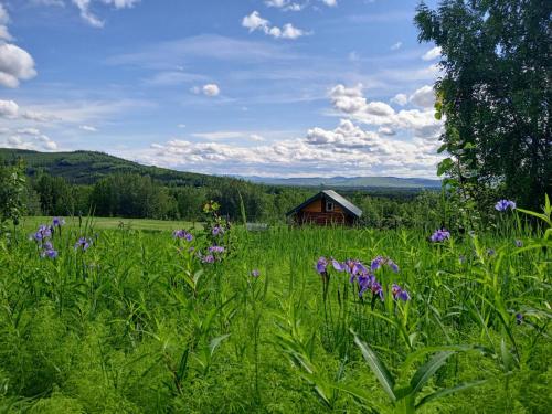 The Chena Valley Cabin, perfect for aurora viewing