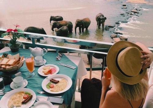 Hotel Elephant Park - NEW DEAL! Exclusive Offers on Pickups Available!