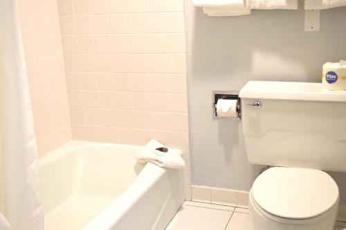 Americas Best Value Inn and Suites St. Cloud - image 10