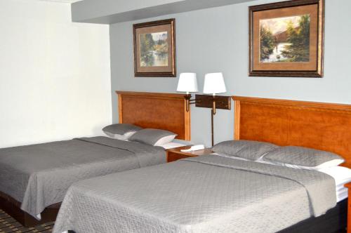 Two Double Beds Family Suite Non-Smoking