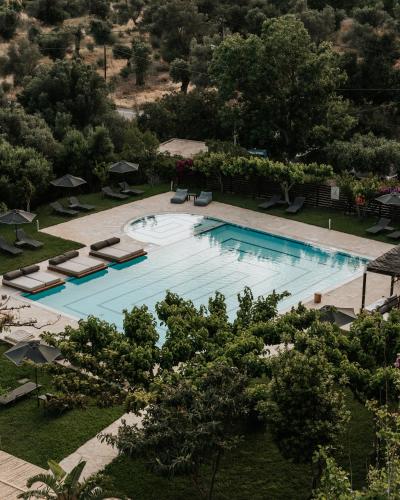 Swimming pool, Paralos The Maxine Adults Only in Adelianos Kampos