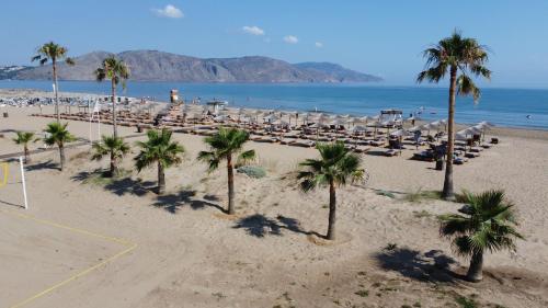 Delfina Beach Hotel - image 10