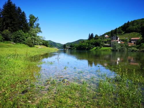 La rosa sul lago