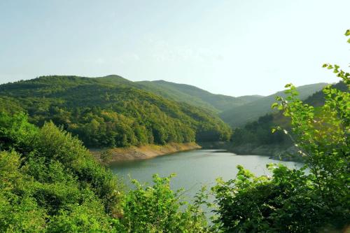 La rosa sul lago